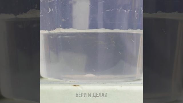 ПОТРЯСАЮЩИЕ МИНИАТЮРНЫЕ ПОДЕЛКИ РУЧНОЙ РАБОТЫ смотреть онлайн