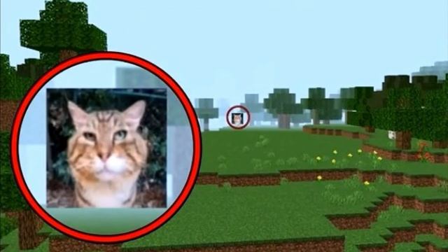 Кот носок - Tell Em (edit by cr1pple) - YouTube