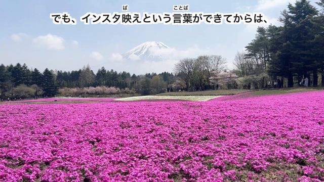 [Eng Sub] Let's go see Mt. Fuji and Shibazakura! | Japanese Listening Practice