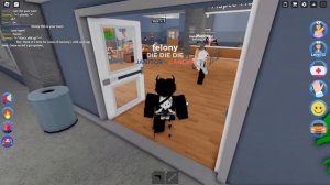 The Roblox Maple Hospital Experience 2