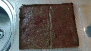 Выращивание аквариумных растений из семян с Али экспресс