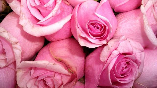 Новая русская музыка про любовь онлайн смотреть онлайн