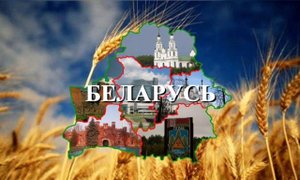 #Беларусь#таро#прогноз#2023#2024