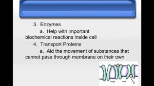 8 1:Cell Bubble Lab:8 2:Quiz Info