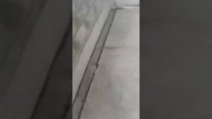 пол по грунту подняло