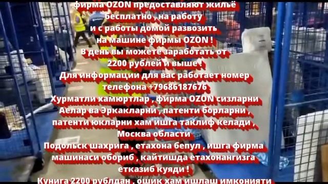 Работа в OZONE Для информации для вас работает номер телефона +79686187676