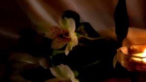 Денис Клявер --" Подари..."Denis Klyaver --" Give..."