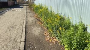 Память - живой фотоальбом