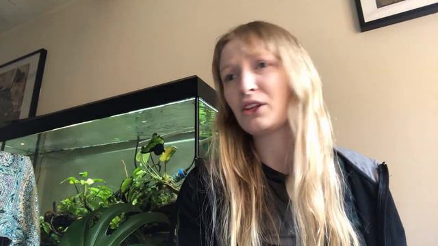 Ancistrus Rarity (Common to Rare) смотреть онлайн