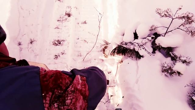 Охота на волков смотреть онлайн