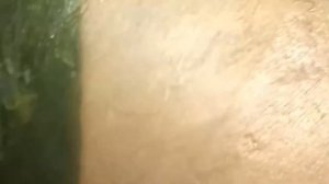 Золотые стены своими руками