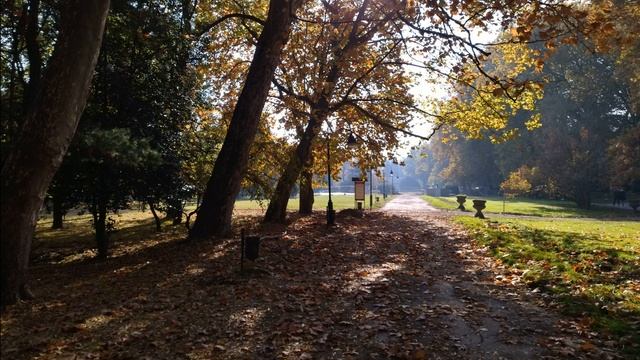 Удивительные стихотворения. Марина Цветаева. смотреть онлайн