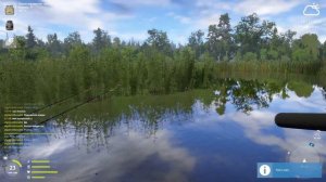 Русская рыбалка 4 - Где  ловить на Медвежке после обновления