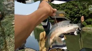 Смарт Рыба рогатка стрелять рыбы лучше, чем лук рыбалка стрелка