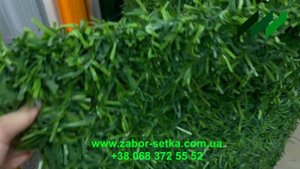 Обзор декоративного искусственного зелёного забора ТМ Green Mix