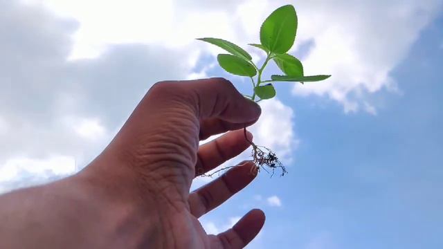 Le Succès N'est Pas Final, L'échec N'est Pas Fatal. C'est Le Courage De Continuer Qui Compte.