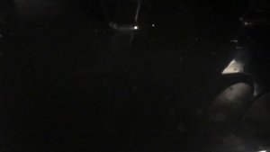 Instruções de uso Máquina Syncrony Logic - Gaggia 2/2