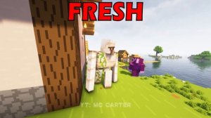 minecraft fresh animations vs java