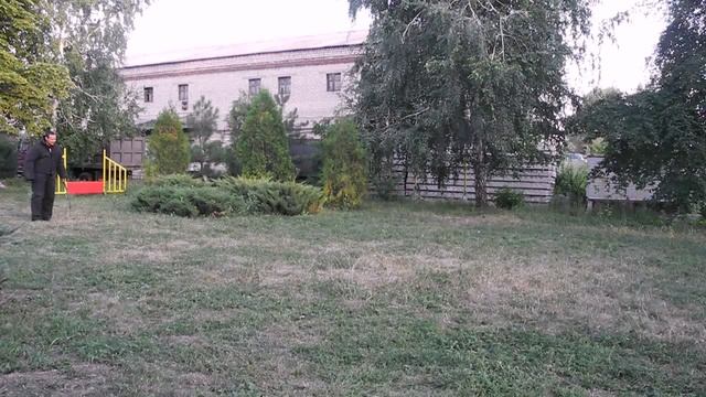 злоба стафа,защита хозяина,ЗКС смотреть онлайн