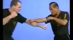 Dan Inosanto , Panantukan