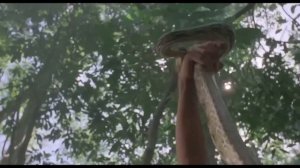 FILME DE AÇÃO A SOBREVIVÊNCIA 2023 COMPLETO DUBLADO EM PORTUGUÊS - FILMES DE AÇÃO | 10239#viral