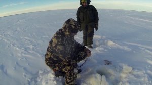 Ищем окуня. Рыбалка озеро Салтаим, старый Новый год (продолжение), Омская область, 2023