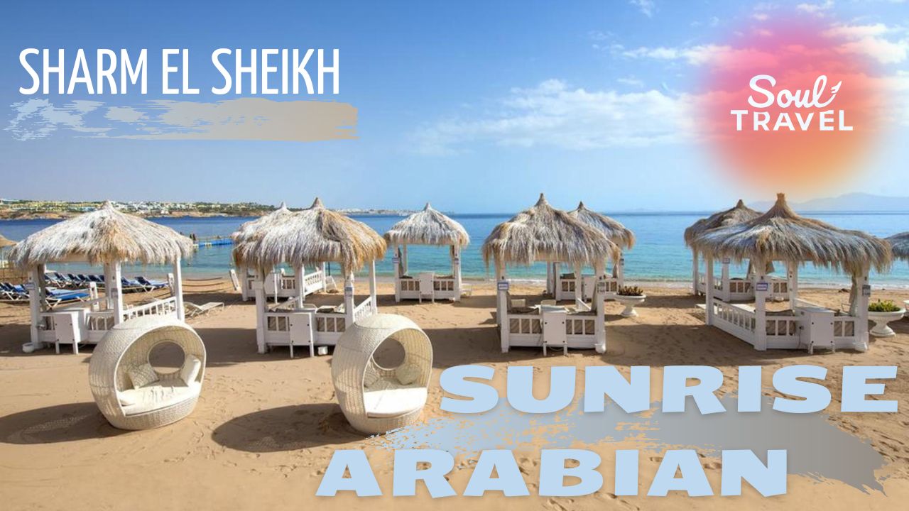 Погода в шарм шейхе в июле. Веб камера шарма Шейх. Пляж фонарь в Шарм Шейхе. Sunrise Arabian Beach. Анкета Шарм Шейх.