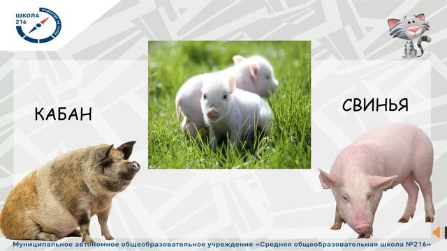 Проект "Родительский университет". Домашние животные и их детёныши смотреть онлайн