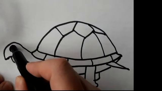 Как нарисовать черепаху, черепашку, легко и просто смотреть онлайн