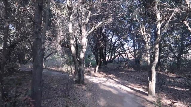 США ?? НАС ЧУТЬ НЕ АРЕСТОВАЛИ. СОБИРАЕМ ЕЖЕВИКУ смотреть онлайн