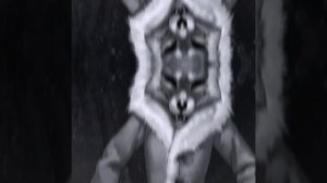 lv_0_20221112104945.mp4