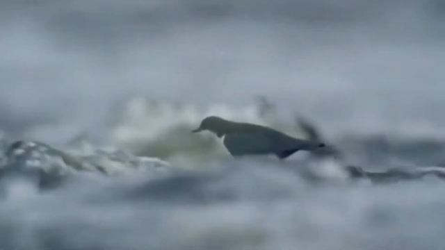 Как незаметно день за днём год пролетает... смотреть онлайн