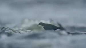 Как незаметно день за днём год пролетает...