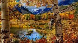 _Шальная  ночь_  исп. А. Тарасенко