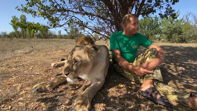 ПРЯМО СЕЙЧАС У ЛЬВОВ ! Сегодня мы идем в суд по сносу зданий Парка Львов Тайган ! смотреть онлайн