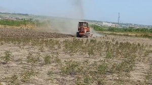 dt 75 traktor 22.2022