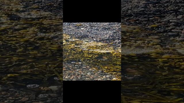 Лексус на БЕЛОМ МОРЕ смотреть онлайн