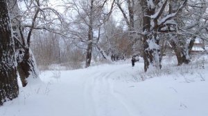 Сказочная зима в Самарской Луке | Magic winter in Samara Bend
