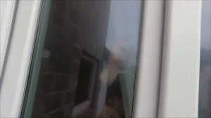 Бойцы РФ заходят ВОЛЧАНСК