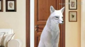 Короче говоря, паук. (Wildcraft)