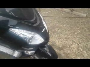 Nexus Roar 250