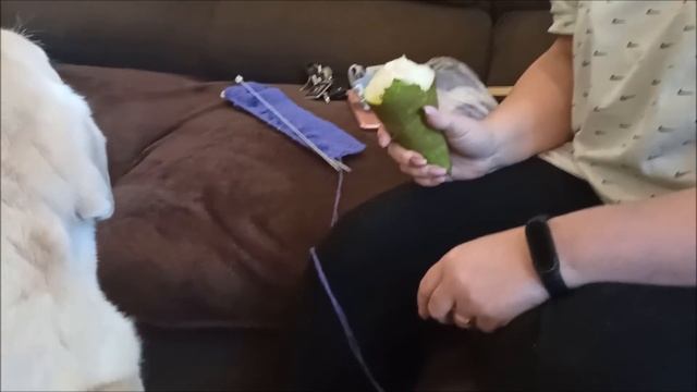 У Мисси ВЕТРЯНКА ! смотреть онлайн