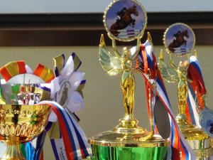 Соревнования. Конно-спортивный клуб Ундоры
