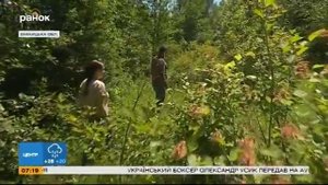 Прибыльное дело: трюфельные фермы