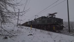 Крокодилы едут с угольным поездом