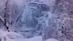 Снегопад в Дальнегорске