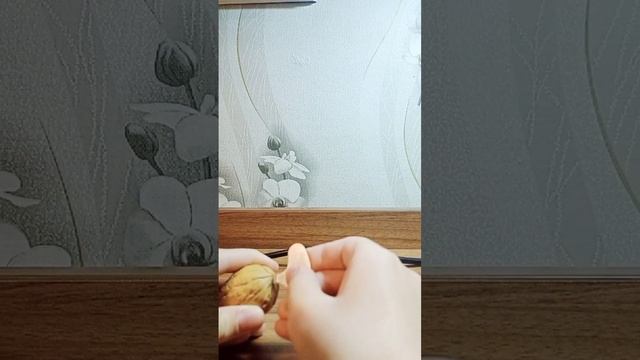 Орех доигрался ???#бебра #бравлстарс #майнкрафт #plants #roblox смотреть онлайн