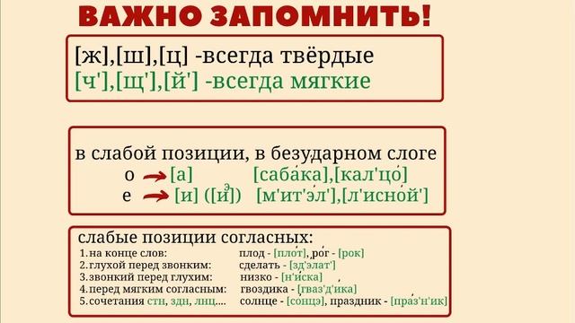 Фонетика. Звуки и буквы. Слабые и сильные позиции. #фонетика  #фонетическийразбор  #русскийязык
