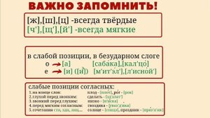 Фонетика. Звуки и буквы. Слабые и сильные позиции. #фонетика #фонетическийразбор #русскийязык