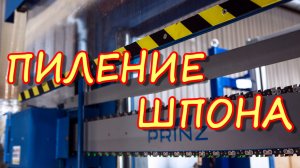 ❱❱ ПИЛЕНИЕ ШПОНА НА ПРОИЗВОДСТВЕ | Оборудование PRINZ™ (Австрия)